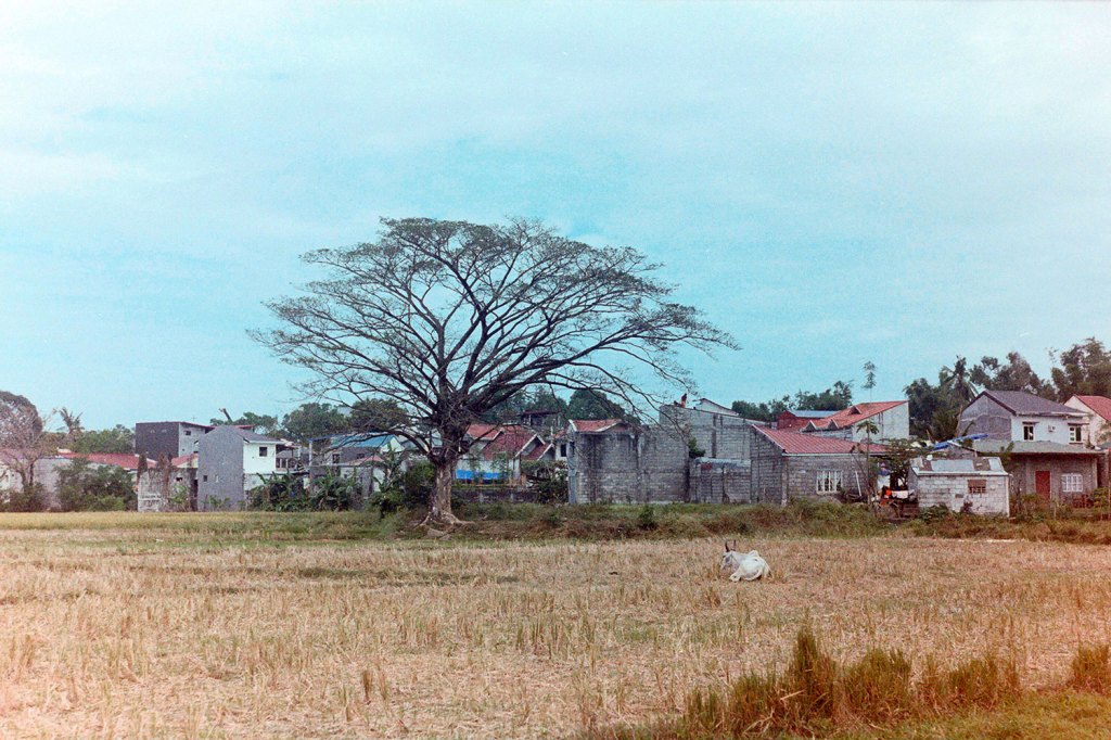 Bulacan on 35mm