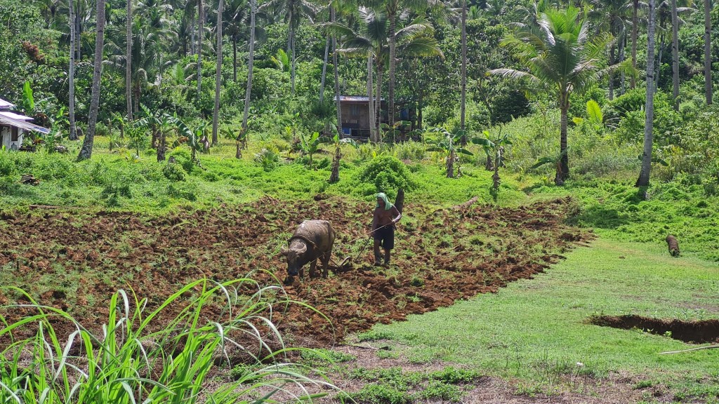 Siargao Day 6: Hidden Cold Spring and Country&nbsp;Roads